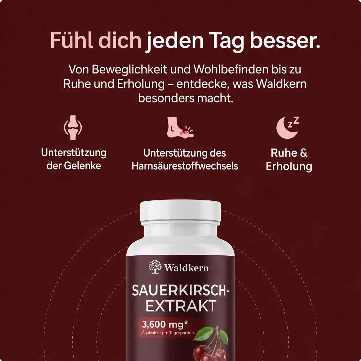 Sauerkirsch- Extrakt